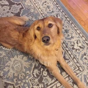 Meet your Posher, Jane